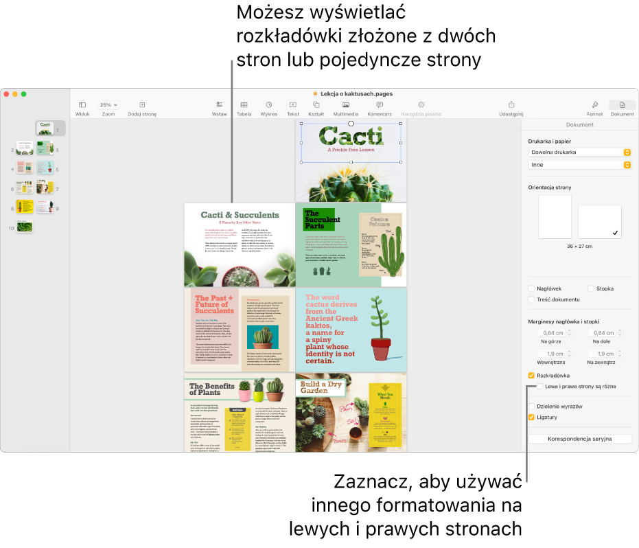 Okno Pages z miniaturkami stron oraz stronami dokumentu wyświetlanymi jako rozkładówka złożona z dwóch stron. Na widocznym po lewej stronie pasku bocznym Dokument znajduje się niezaznaczone pole wyboru Lewe i prawe strony są różne.