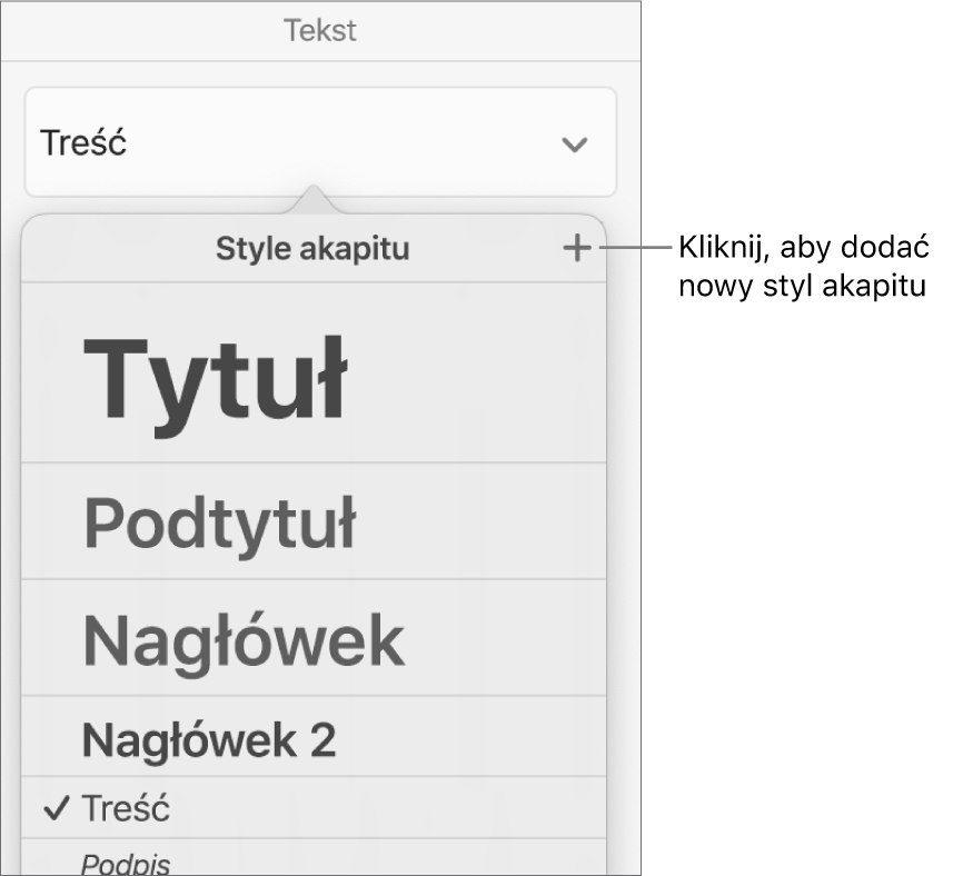 Menu Style akapitu z objaśnieniem przycisku Nowy styl.