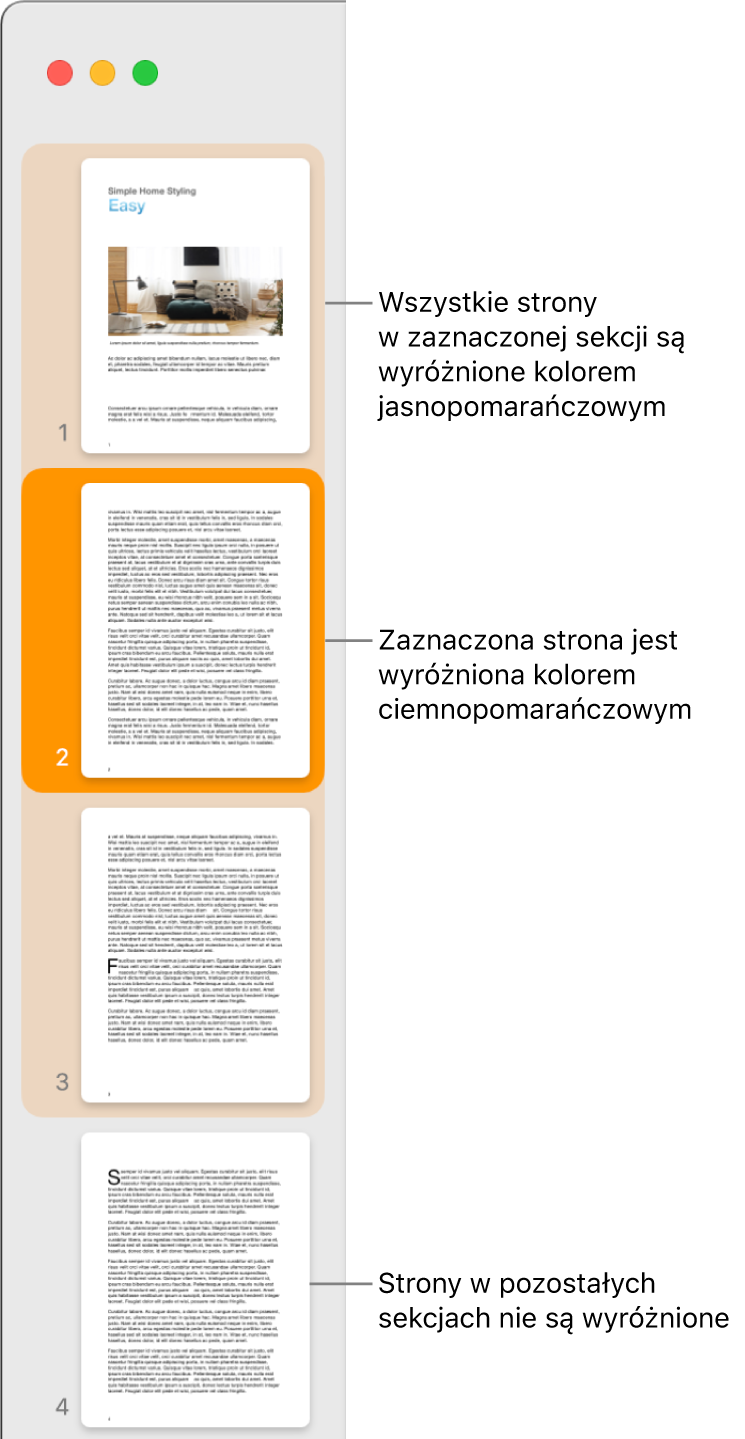 Pasek boczny z widokiem miniaturek. Aktualnie zaznaczona strona wyróżniona jest kolorem ciemnopomarańczowym, natomiast pozostałe strony należące do tej samej sekcji wyróżnione są kolorem jasnopomarańczowym.