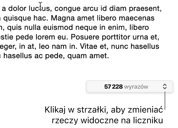 Menu pokazujące liczbę wyrazów w dokumencie.