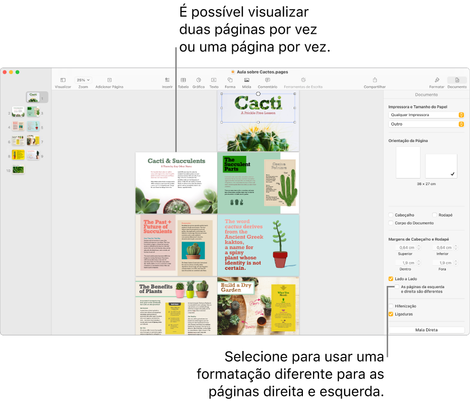 Janela do Pages com miniaturas de páginas e páginas do documento visualizadas como páginas duplas. Na barra lateral Documento à direita, a caixa “As páginas da esquerda e direita são diferentes” está desmarcada.