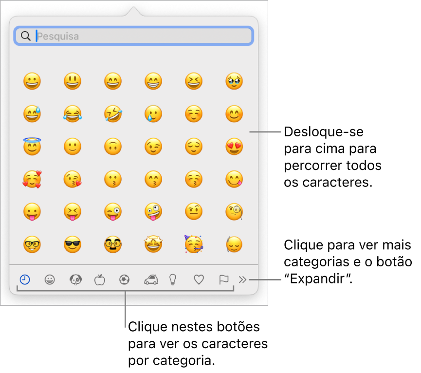 O visualizador de caracteres a mostrar emoji, botões para diferentes categorias de símbolos na parte inferior e um botão para mostrar mais categorias e o botão “Expandir”.