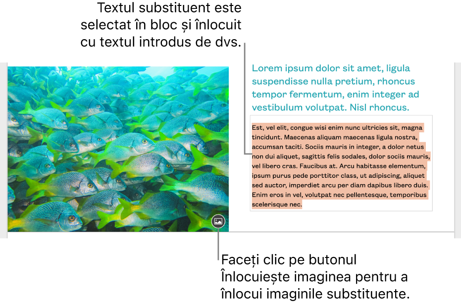 Text și imagini substituente.