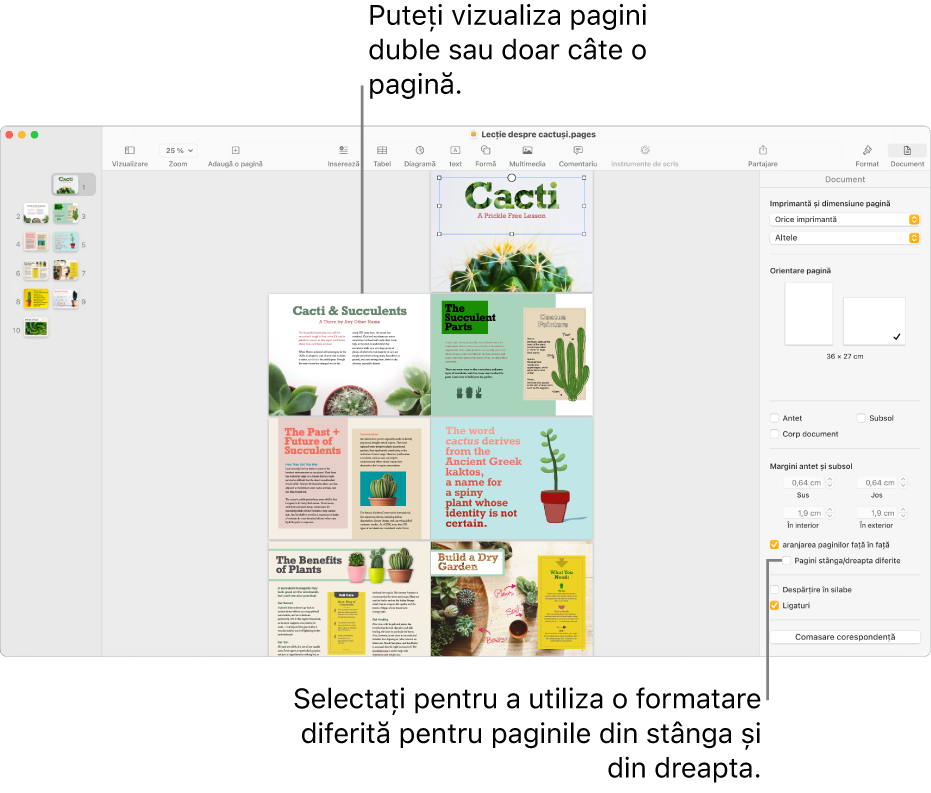Fereastra Pages cu miniaturile paginilor și paginile documentului afișate ca pagini duble. În bara laterală Document din dreapta, caseta de dialog „Pagini stânga/dreapta diferite” este neselectată.