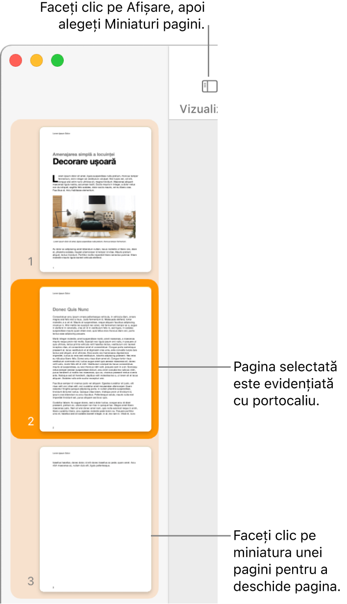 Bara laterală din partea stângă a ferestrei Pages, având deschisă vizualizarea Miniaturi pagini și o pagină selectată evidențiată cu portocaliu închis.