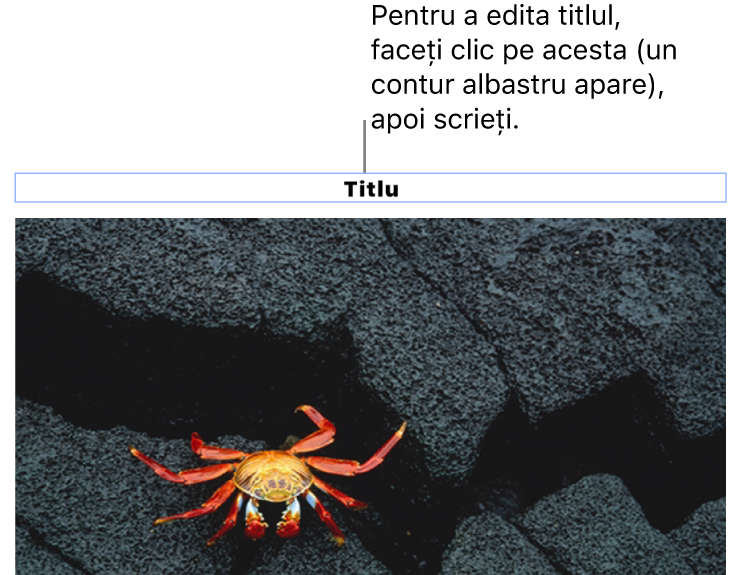 Titlul substituent, „Titlu”, apare sub o poză; un contur albastru în jurul câmpului titlului arată că acesta este selectat.