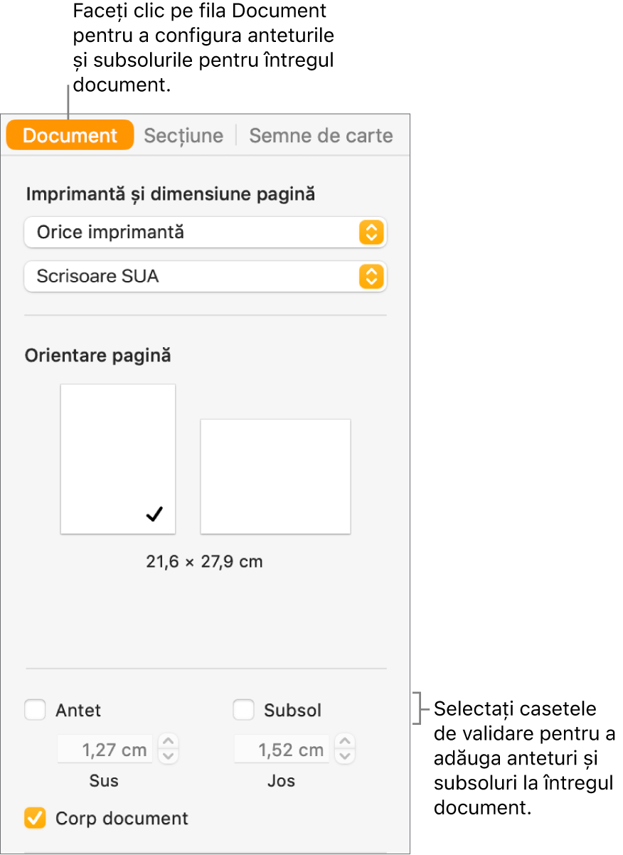 Bara laterală Document cu fila Document selectată în partea de sus a barei laterale. Sub casetele de validare pentru Antet și Subsol există săgeți pentru schimbarea distanței anteturilor și subsolurilor față de partea de sus și de jos a paginii.