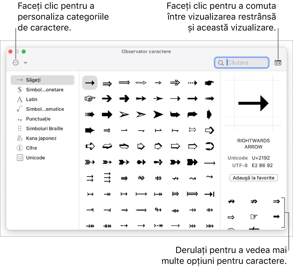 Observator caractere extins, afișând caractere speciale și simboluri, un meniu pentru diferite categorii de simboluri în stânga și un buton în colțul din dreapta sus care vă permite să reveniți la vizualizarea restrânsă.