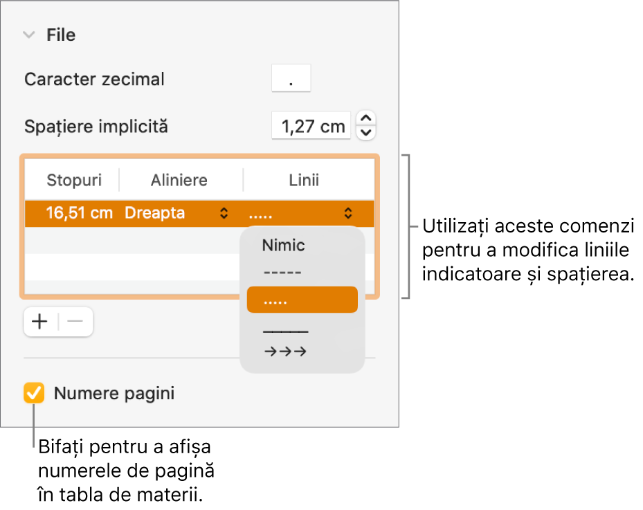 Secțiunea File din bara laterală Format. Sub Spațiere implicită se află un tabel cu coloanele Stopuri, Aliniere și Linii. Sub tabel apare bifată o casetă de validare Numere pagini.