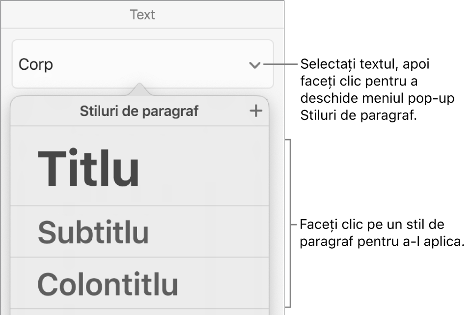 Meniul Stiluri de paragraf.