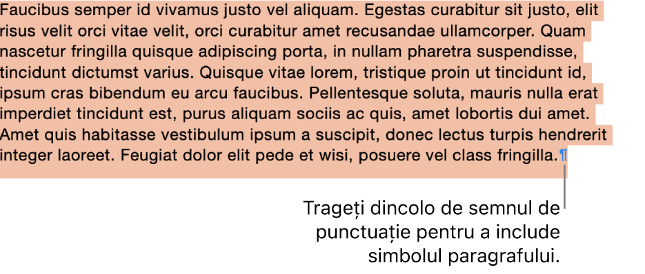 Un paragraf este selectat, cu simbolul paragrafului inclus în selecție.