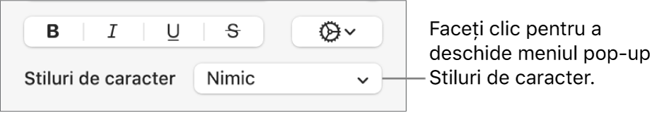 Meniul pop-up Stiluri de caracter.