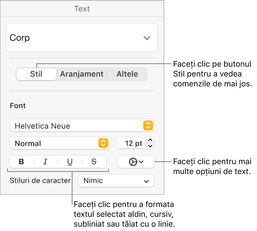Comenzile pentru Stil din bara laterală Format cu explicații la butoanele Aldin, Cursiv, Subliniat și Tăiat cu o linie.
