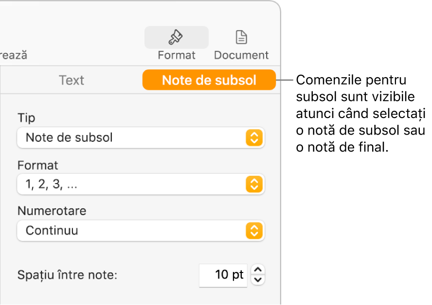 Panoul Note de subsol afișează meniuri pop-up pentru Tip, Format, Numerotare și spațiu între note.