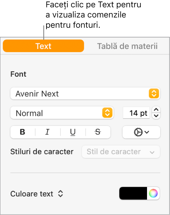 Bara laterală Format cu fila Text selectată și comenzile pentru modificarea fontului, a dimensiunii fontului și adăugarea stilurilor de caracter.