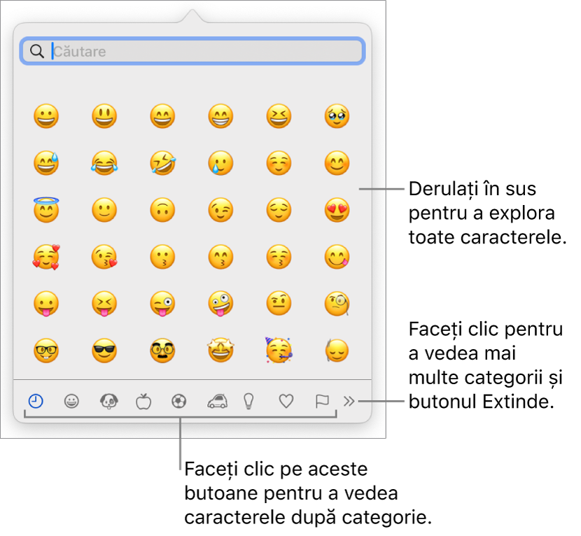 Observatorul de caractere afișând emojiuri, butoane pentru diferite categorii de simboluri în partea de jos și un buton pentru a afișa mai multe categorii și butonul Extinde.