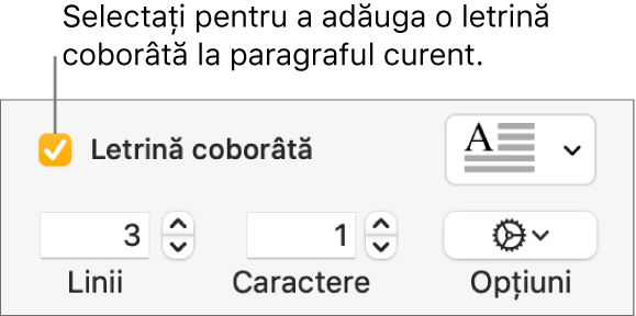 Caseta de validare Letrină coborâtă este selectată și un meniu pop-up apare în dreapta acesteia; comenzile pentru configurarea înălțimii liniei, a numărului de caractere și alte opțiuni apar sub aceasta.