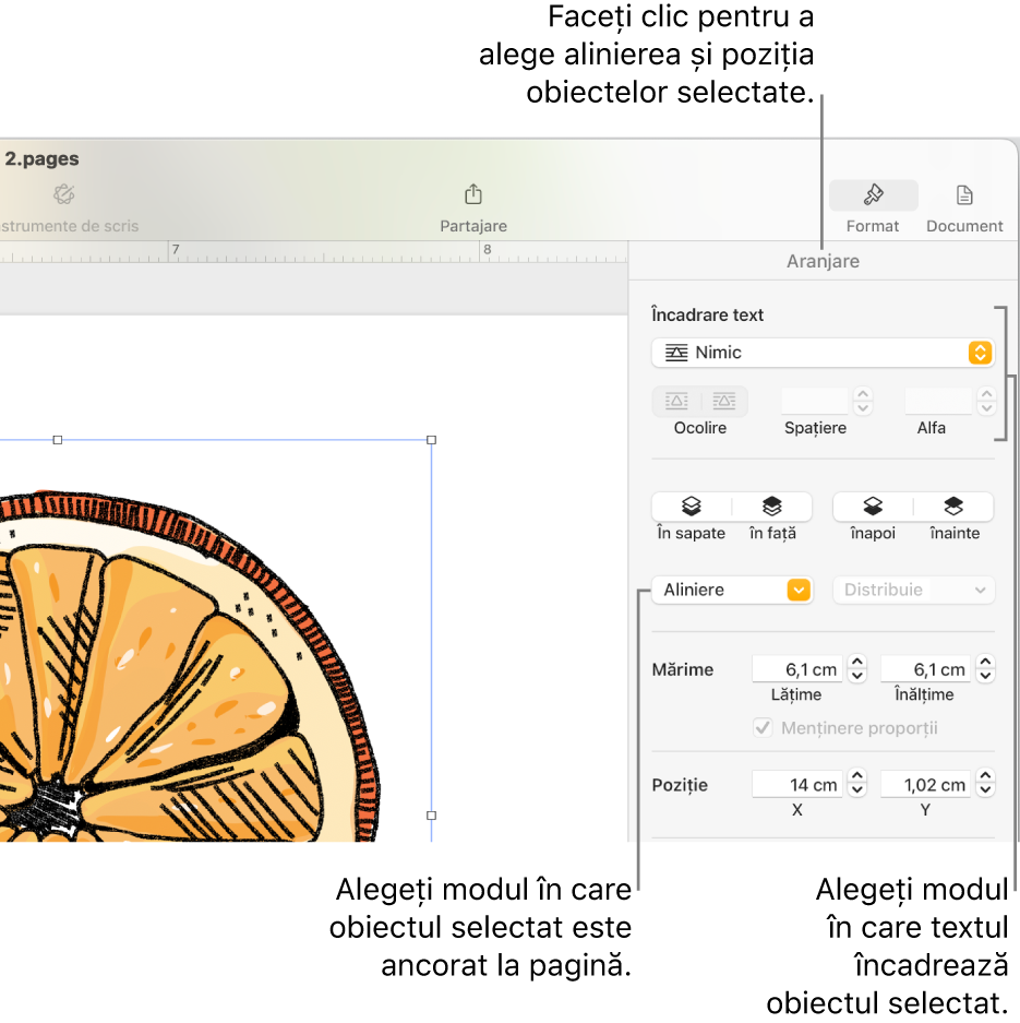 Meniul Format afișând bara laterală Aranjare. Configurările Amplasare obiect se află în partea de sus a barei laterale Aranjare și configurările Încadrare text sunt dedesubt.