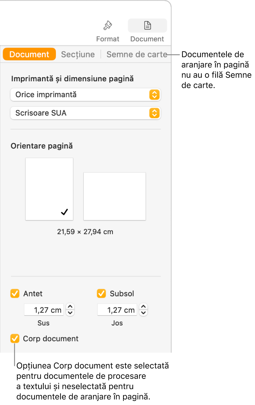 Bara laterală Format cu filele Document, Secțiune și Semne de carte în partea de sus. Fila Document este selectată și o explicație referitoare la fila Semne de carte precizează că documentele de aranjare în pagină nu au o filă Semne de carte. Caseta de validare Corp document este selectată, ceea ce indică și faptul că acesta este un document de procesare a textului.