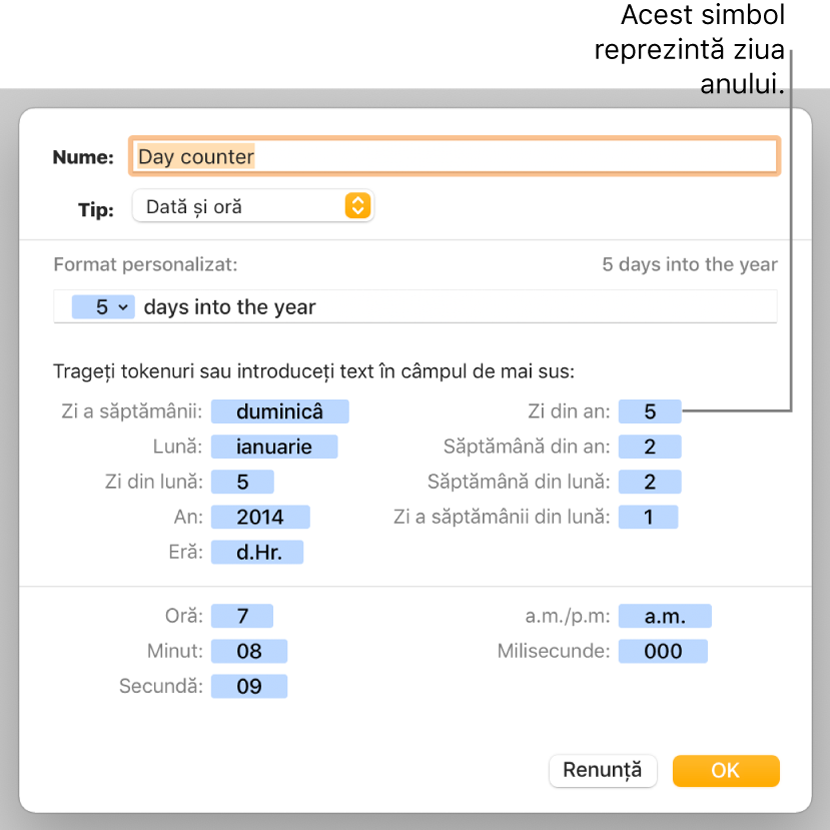 Fereastra de formatare personalizată a celulei, cu comenzi pentru alegerea formatării personalizate a datei și orei.