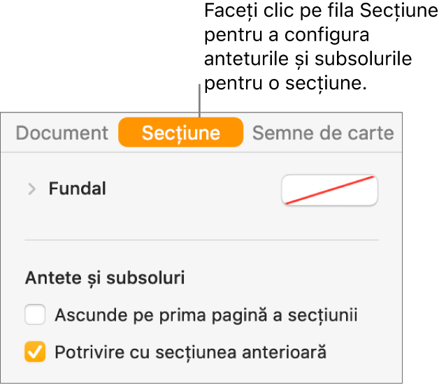 Bara laterală Document cu fila Secțiune selectată în partea de sus a barei laterale. Secțiunea Anteturi și subsoluri din bara laterală are casete de validare lângă “Ascunde pe prima pagină a secțiunii și “Potrivire cu secțiunea anterioară”.