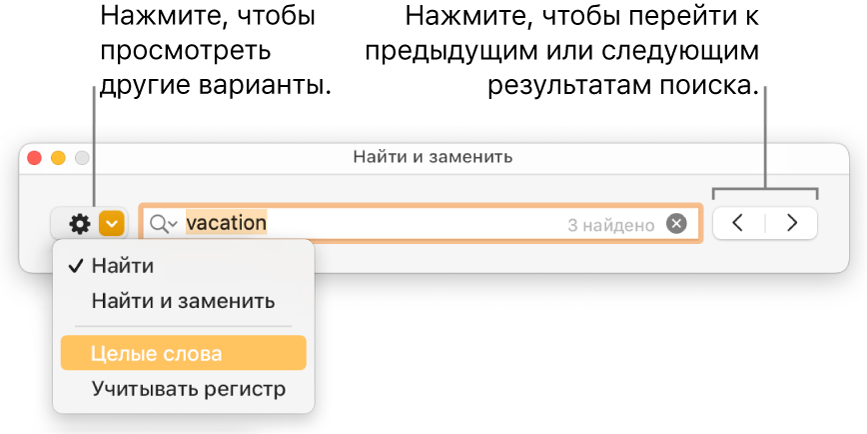 В окне «Найти и заменить» открыто всплывающее меню, в котором показаны параметры «Найти», «Найти и заменить», «Целые слова» и «Регистр». Стрелки справа позволяют переходить к предыдущему или следующему результату поиска.