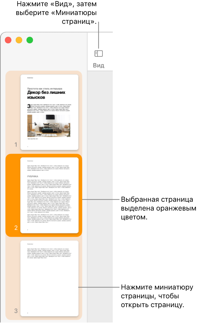 Боковое меню в левой части окна Pages. Открыта панель «Миниатюры страниц», выбранная страница выделена оранжевым цветом.