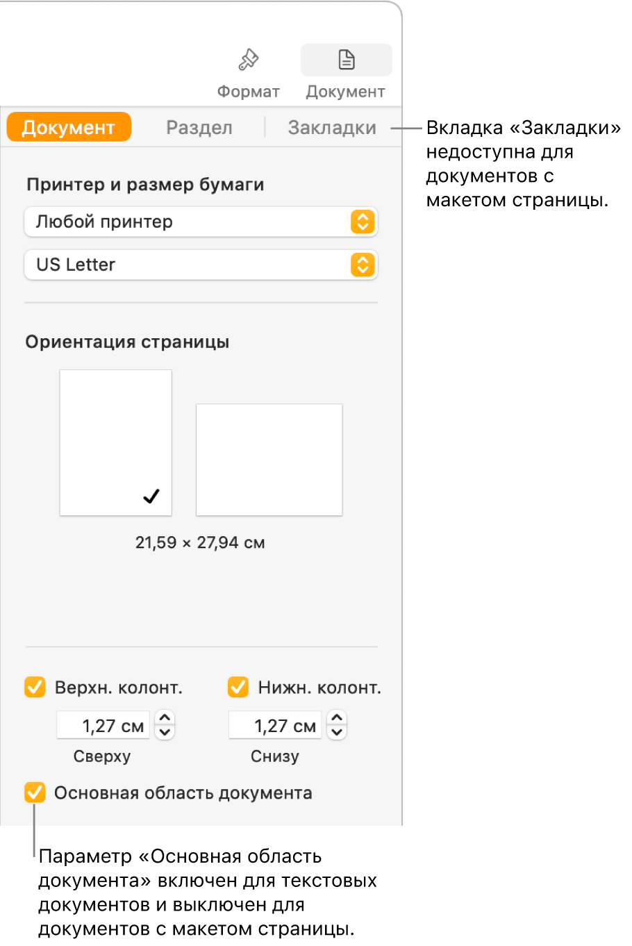 Боковое меню «Формат» со вкладками «Документ», «Раздел» и «Закладки» вверху. Выбрана вкладка «Документ», и в выноске, указывающей на вкладку «Закладки», сказано, что в документах с макетом страницы нет вкладки «Закладки». Установлен флажок «Основная область документа». Это также означает, что документ текстовый.