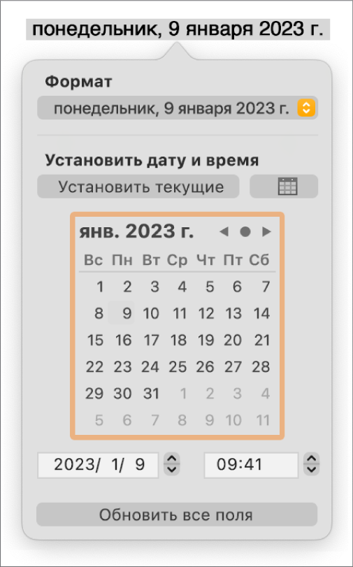 Элементы управления для параметра «Дата и время». Показано всплывающее меню форматирования и элементы управления для установки даты и времени.