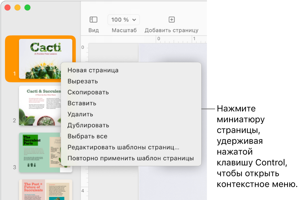 Панель «Миниатюры страниц». Выбрана одна миниатюра, открыто контекстное меню.