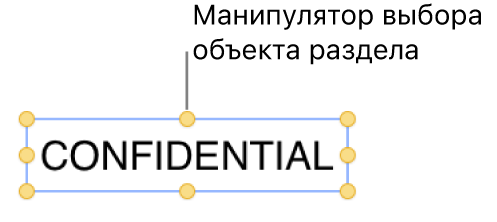 Объект с манипуляторами.