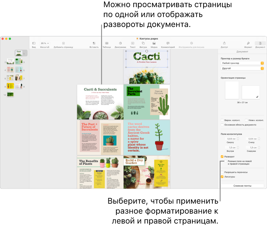 Окно Pages с миниатюрами страниц и страницами документов, открытых в виде разворотов на две страницы. Справа, в боковом меню «Документ», не установлен флажок «Разные поля на левой и правой страницах».