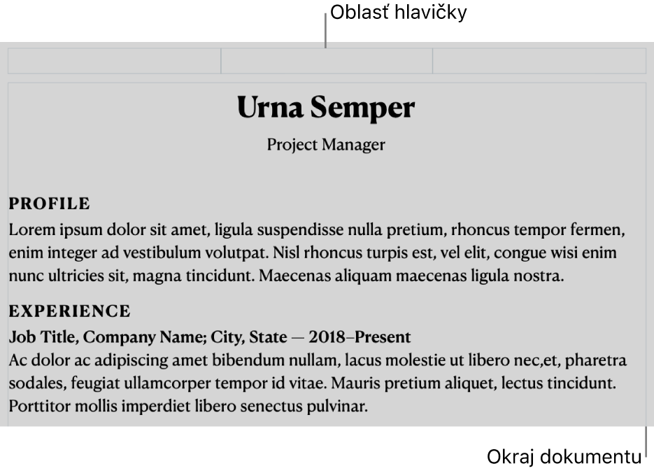 Zobrazenie rozloženia zobrazujúce oblasť hlavičky a okraje dokumentu.