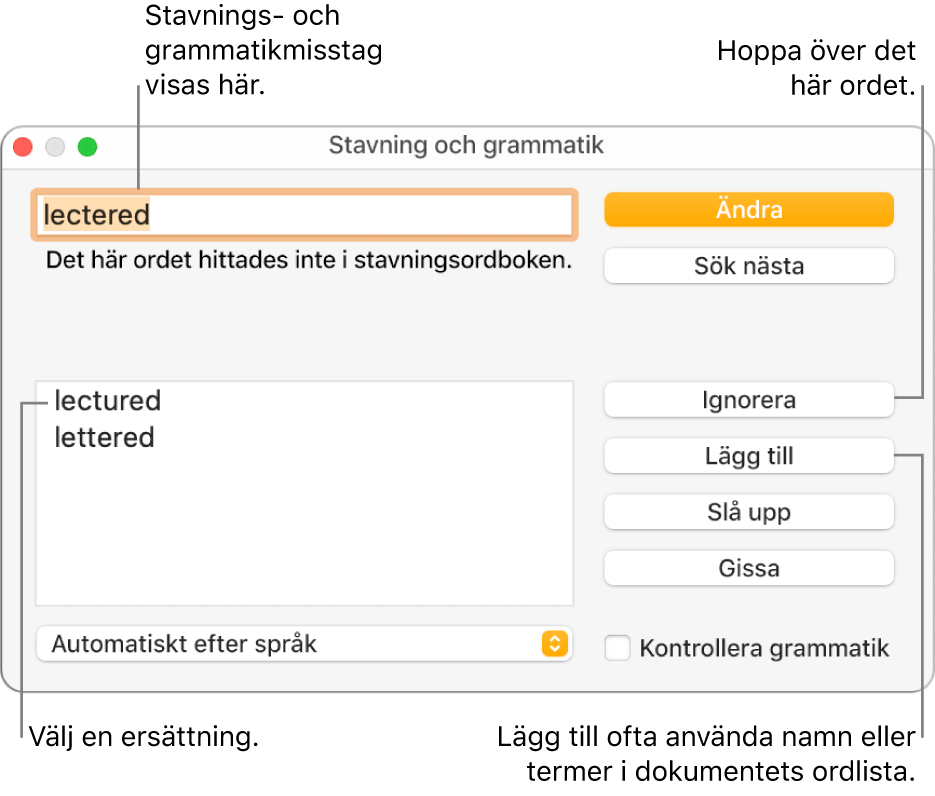 Fönstret Stavning och grammatik.