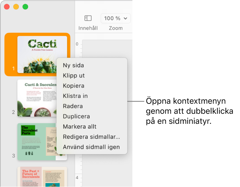 Sidminiatyrvy med en miniatyr markerad och öppen kontextmeny.