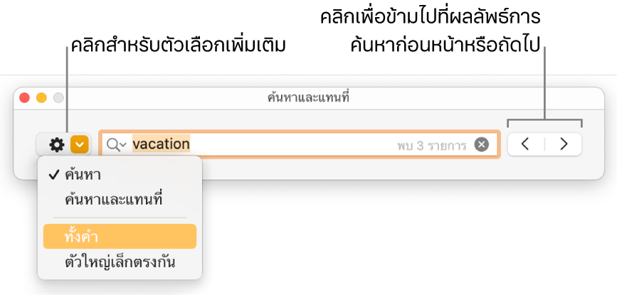 หน้าต่างค้นหาและแทนที่พร้อมเมนูที่แสดงขึ้นที่แสดงตัวเลือกสำหรับค้นหา ค้นหาและแทนที่ ทั้งคำ และตัวใหญ่เล็กตรงกัน ลูกศรด้านขวาทำให้คุณสามารถข้ามไปที่ผลการค้นหาก่อนหน้าหรือถัดไปได้