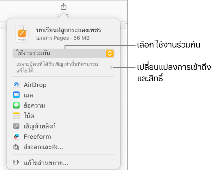 เมนูแชร์ที่มีใช้งานร่วมกันถูกเลือกอยู่ที่ด้านบนสุด และการตั้งค่าการเข้าถึงและสิทธิ์อยู่ที่ด้านล่าง