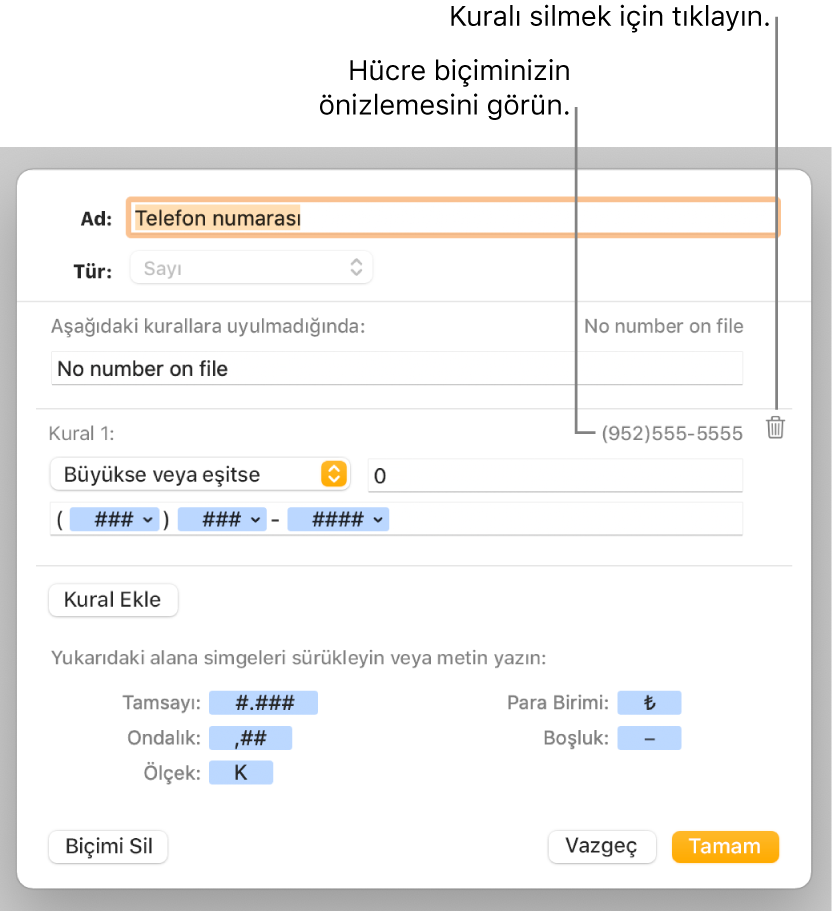 Özel sayı biçimlemeyi seçme denetimlerinin bulunduğu özel hücre biçimi penceresi.