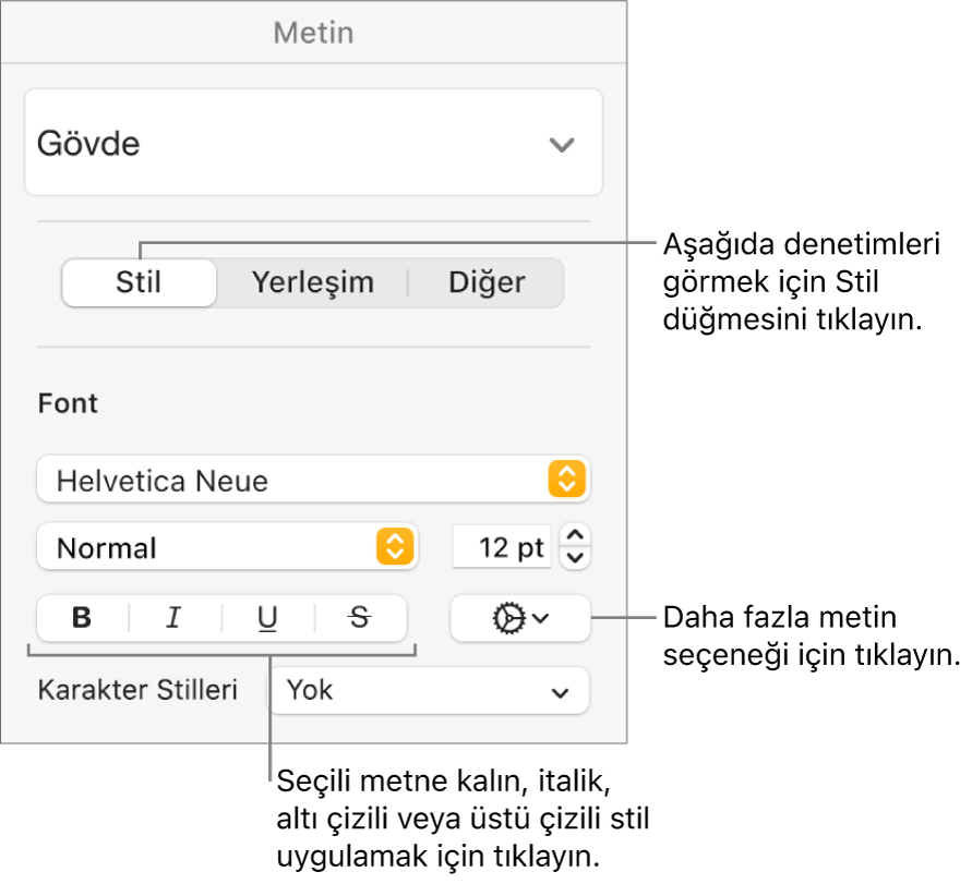 Biçim kenar çubuğundaki Kalın, İtalik, Altı Çizili ve Üstü Çizili düğme belirtimlerini içeren Stil denetimleri.
