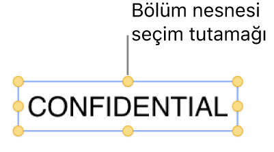 Seçim tutamaklarına sahip nesne.