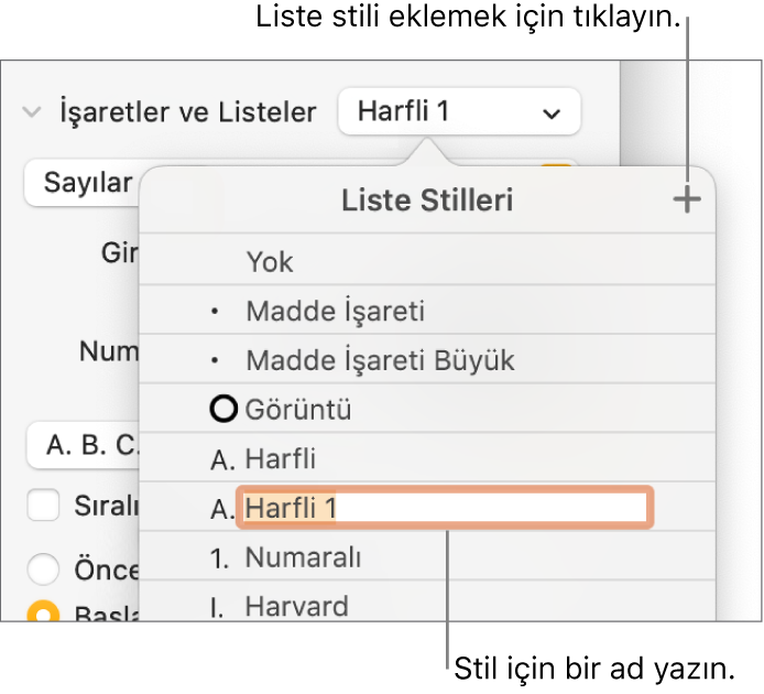 Sağ üst köşede Ekle düğmesi olan Liste Stilleri açılır menüsü ve metni seçili olan yer tutucu stili adı.