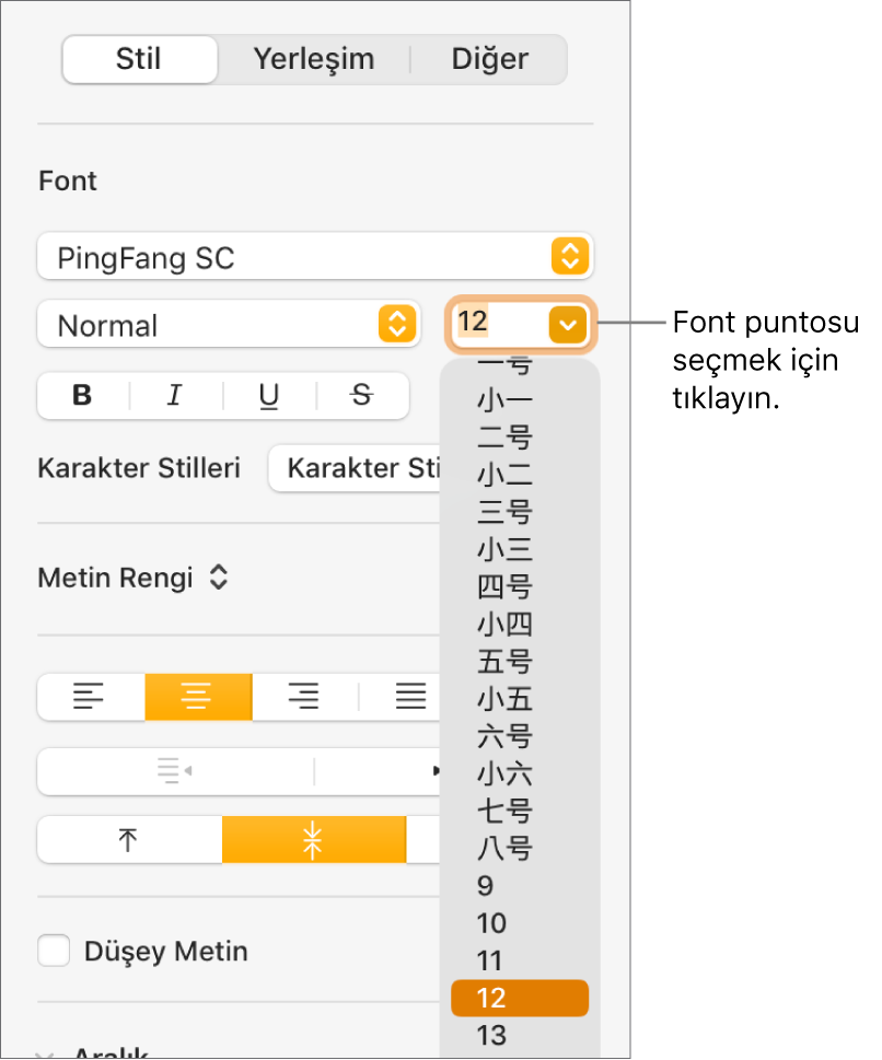 Font puntosu menüsü açık olarak Biçim kenar çubuğunun Stil bölümü. Çin ana karası hükümeti standardındaki font puntoları menünün en üst kısmında, diğer puntolar ise bunun altında görünür.