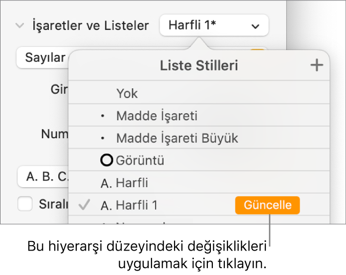 Yeni stilin adının yanında Güncelleme düğmesi olan Liste Stilleri açılır menüsü.