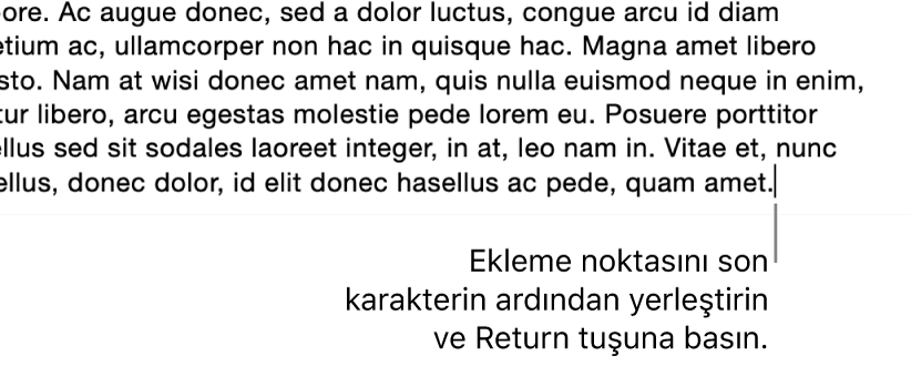 Paragrafın son cümlesindeki nokta işaretinden sonra yerleştirilmiş ekleme noktası.