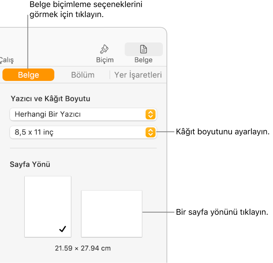 Belge kenar çubuğu, kenar çubuğunun en üstünde Belge sekmesi seçili. Kenar çubuğunda kağıt boyutunu ve düşey ve yatak sayfa yönü düğmelerini ayarlamak için bir açılır menü bulunur.