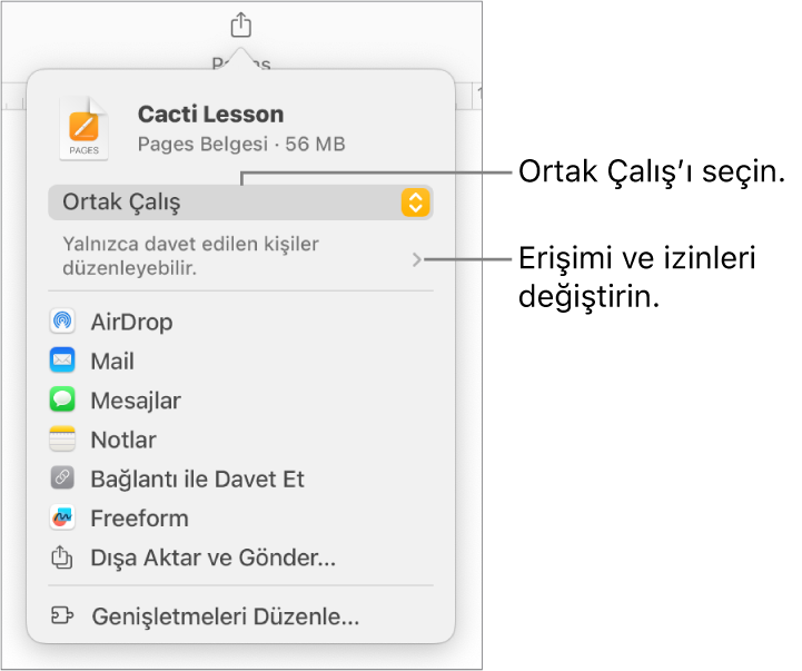 En üstte Ortak Çalış seçili olan Paylaş menüsü ve altında erişim ve izin ayarları.