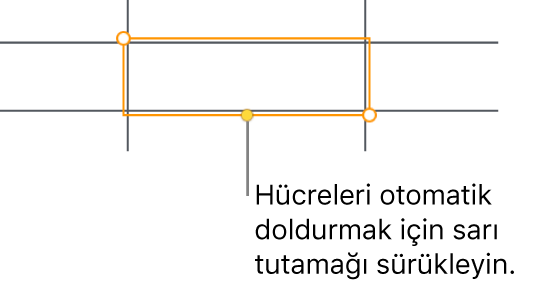 Hücreleri otomatik doldurmak için sürükleyebileceğiniz bir sarı tutamağı olan seçili hücre.