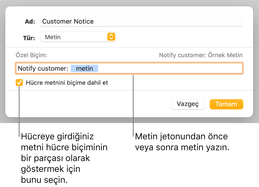Özel metin biçimlemeyi seçme denetimlerinin bulunduğu özel hücre biçimi penceresi.