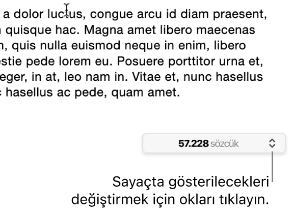 Belgedeki sözcük sayısını gösteren sözcük sayısı menüsü.