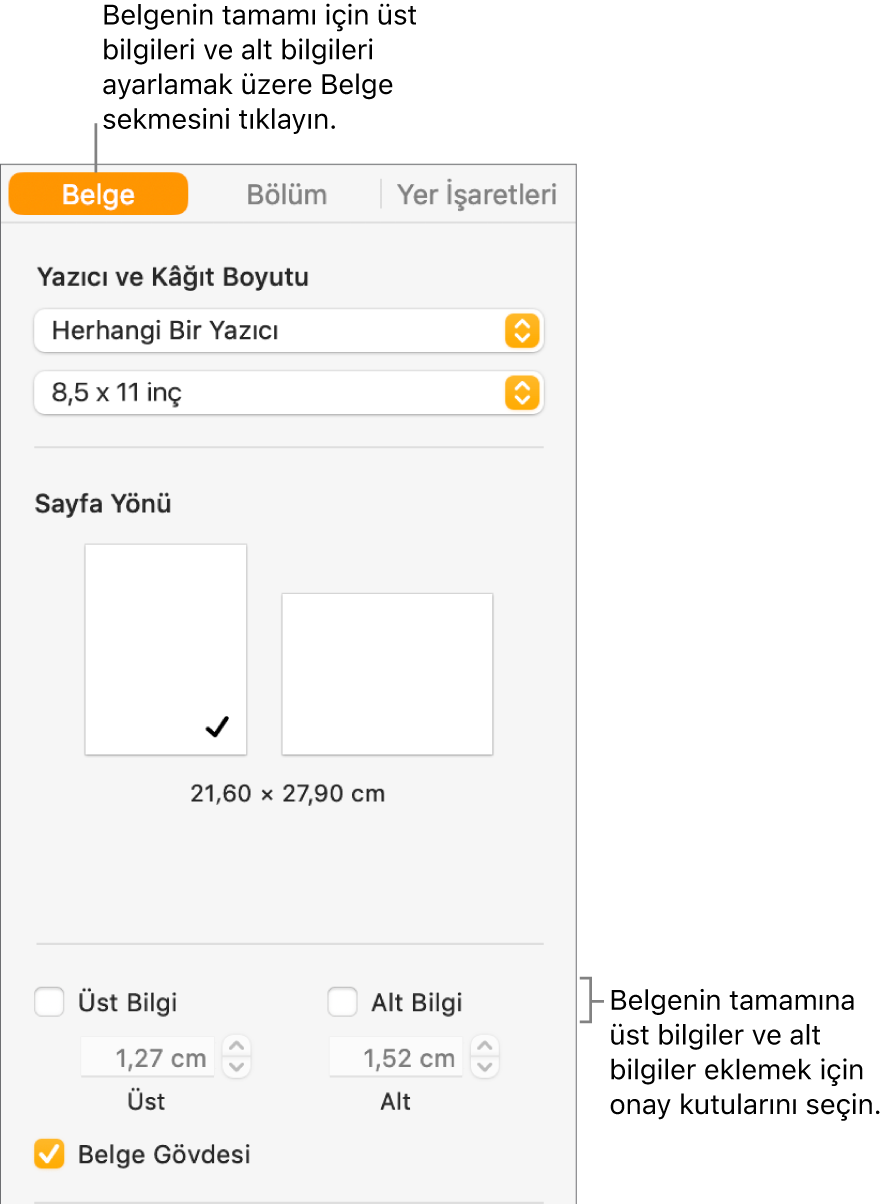 Belge kenar çubuğu, kenar çubuğunun en üstünde Belge sekmesi seçili. Üst Bilgi ve Alt Bilgi onay kutularının alt tarafında, üst bilgilerin ve alt bilgilerin sayfanın en üstüne ve en altına uzaklığını değiştirme okları bulunur.